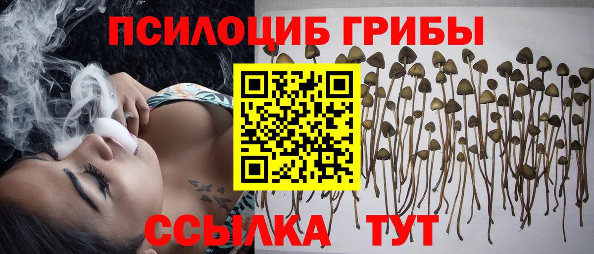 Галлюциногенные грибы GOLDEN TEACHER  Вход с VPN  где можно купить наркотик  Волжск  Псилоцибиновые грибы ЛСД 
